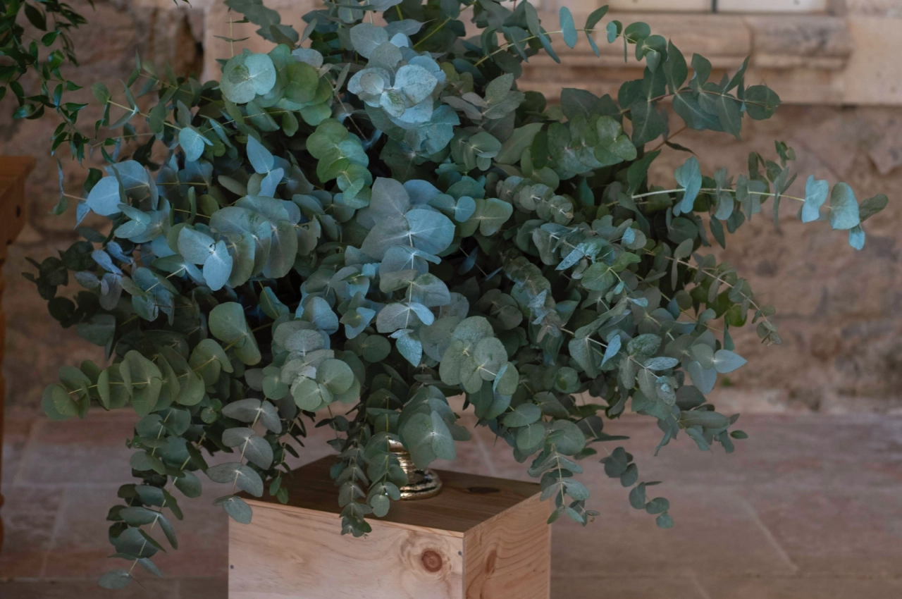 Décoration de table rustique chic dans le Tarn-et-Garonne pour une réception personnalisée par Soréa Event.
